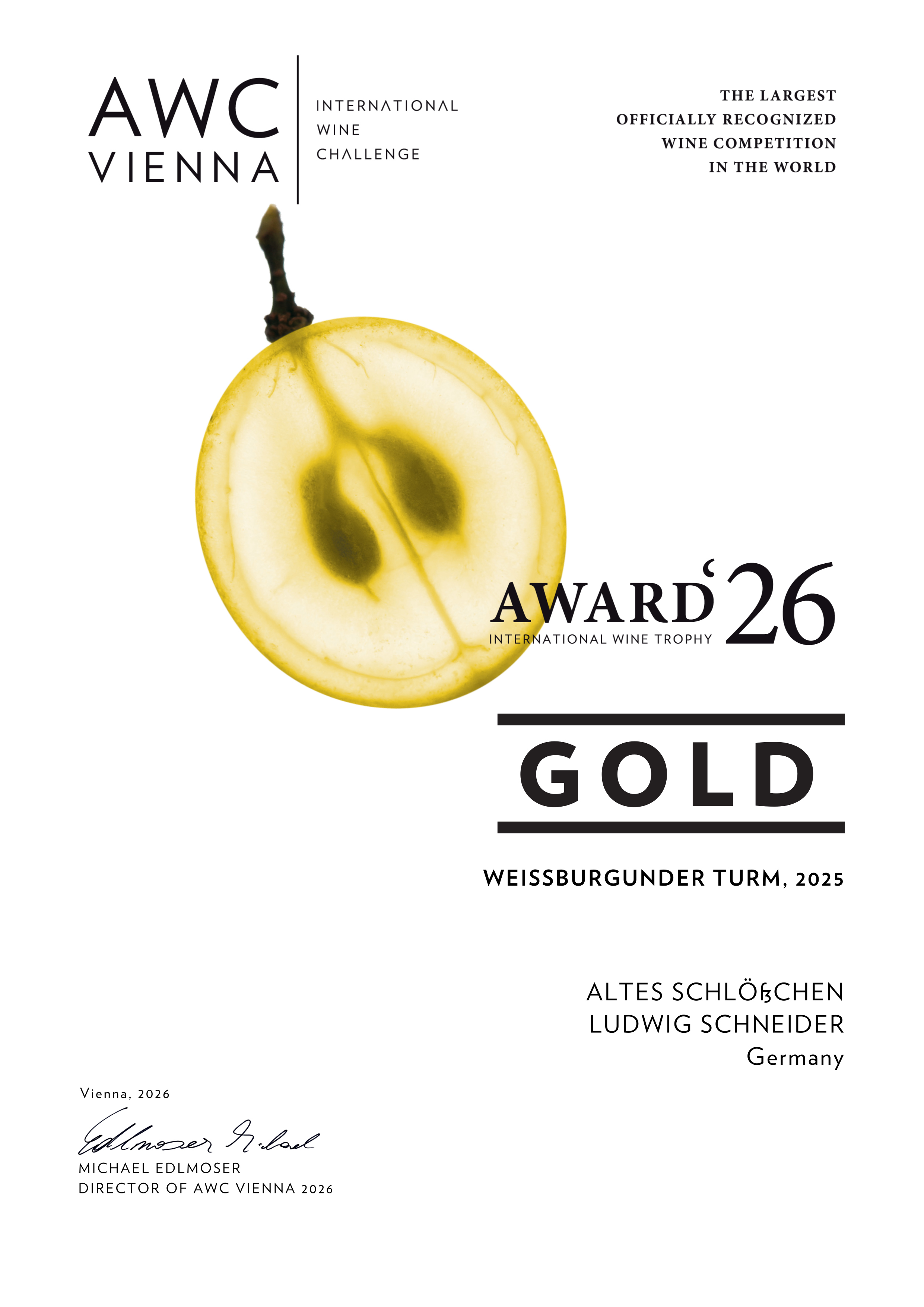 WEISSBURGUNDER Turm trocken